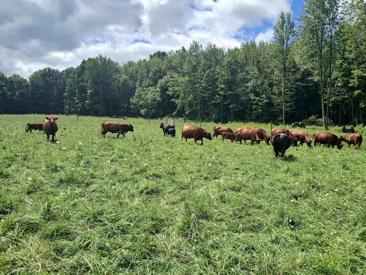 THE ROAMING ACRES FARM LLC