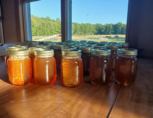 Raw Unfiltered Honey  by THE ROAMING ACRES FARM LLC
