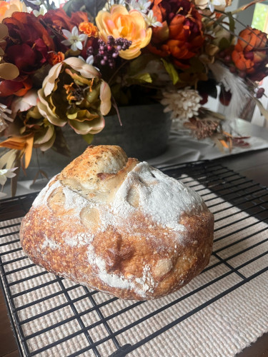 Italian Herb & Cheese Sourdough Bread by Sophie's Loafies