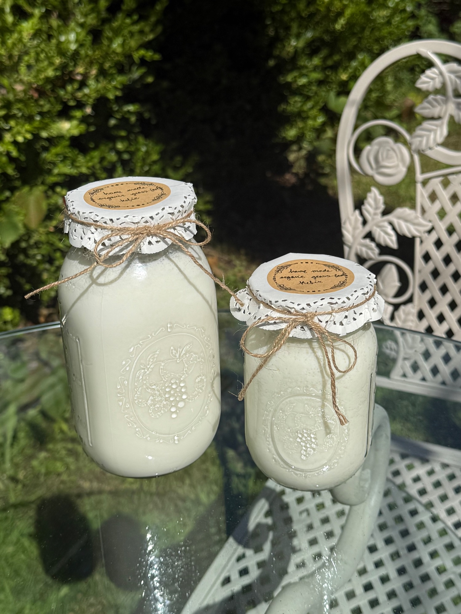 Organic Grass-Fed Milk Kefir 16oz by The Vintage Hearth
